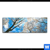 Acrylglasbild Wald Im Winter Panorama Motivvorschau