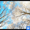 Acrylglasbild Wald Im Winter Panorama Zoom