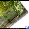 Acrylglasbild Wald Mit Bach Bei Sonnenschein Panorama Materialbild