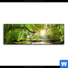 Acrylglasbild Wald Mit Bach Bei Sonnenschein Panorama Motivvorschau