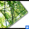 Acrylglasbild Wald Mit Bach Schmal Materialbild