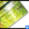 Acrylglasbild Wald Mit Sonnenstrahlen Hochformat Materialbild