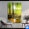 Acrylglasbild Wald Mit Sonnenstrahlen Hochformat Produktvorschau