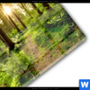 Acrylglasbild Wald Mit Sonnenstrahlen No 2 Rund Materialbild