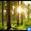 Acrylglasbild Wald Mit Sonnenstrahlen No 2 Rund Zoom