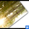 Acrylglasbild Wald Mit Sonnenstrahlen No 2 Schmal Materialbild