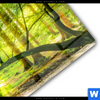 Acrylglasbild Wald Mit Sonnenstrahlen Panorama Materialbild