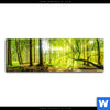 Acrylglasbild Wald Mit Sonnenstrahlen Panorama Motivvorschau