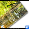 Acrylglasbild Wald Mit Sonnenstrahlen Querformat Materialbild