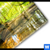 Acrylglasbild Wald Mit Sonnenstrahlen Rund Materialbild