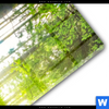 Acrylglasbild Wald Mit Sonnenstrahlen Schmal Materialbild