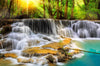 Acrylglasbild Wald Wasserfall No 2 Panorama Crop