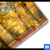 Acrylglasbild Waldlandschaft Im Herbst Panorama Materialbild