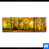 Acrylglasbild Waldlandschaft Im Herbst Panorama Motivvorschau