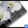 Acrylglasbild Weisse Orchideen Rund Materialbild