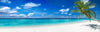 Acrylglasbild Weisser Strand Kokospalme Panorama Crop