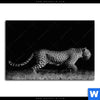Acrylglasbild Wilder Leopard Querformat Motivvorschau