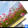 Bild Edelstahloptik Blumenwiese Bei Strahlend Blauem Himmel Quadrat Materialbild