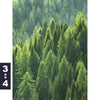 Bild Edelstahloptik Der Wald Hochformat Motivorschau Seitenverhaeltnis 3 4