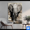 Bild Edelstahloptik Elefant Bricht Durch Mauer Hochformat Produktvorschau