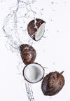 Bild Edelstahloptik Kokosnuesse Mit Wasserspritzer Hochformat Crop