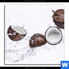 Bild Edelstahloptik Kokosnuesse Mit Wasserspritzer Quadrat Motivvorschau