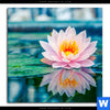Bild Edelstahloptik Lotusblume Quadrat Motivvorschau