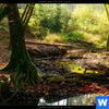 Bild Edelstahloptik Natuerlicher Wald Quadrat Zoom