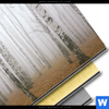 Bild Edelstahloptik Nebel Im Birkenwald Quadrat Materialbild