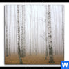 Bild Edelstahloptik Nebel Im Birkenwald Quadrat Motivvorschau