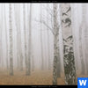Bild Edelstahloptik Nebel Im Birkenwald Quadrat Zoom