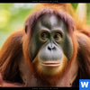 Bild Edelstahloptik Orang Utan Familie Im Regenwald Quadrat Zoom