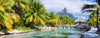 Bild Edelstahloptik Palmen Berg Auf Insel Querformat Crop