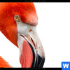 Bild Edelstahloptik Rosa Flamingo Hochformat Zoom