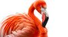 Bild Edelstahloptik Rosa Flamingo Rund Crop