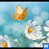 Bild Edelstahloptik Sommerwiese Mit Schmetterlingen Quadrat Zoom