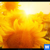 Bild Edelstahloptik Sonnenblumen Im Abendlicht Querformat Zoom