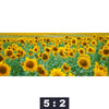Bild Edelstahloptik Sonnenblumenfeld Panorama Motivorschau Seitenverhaeltnis 5 2