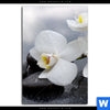 Bild Edelstahloptik Weisse Orchideen Hochformat Motivvorschau