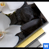 Bild Edelstahloptik Weisse Orchideen Panorama Material