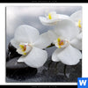Bild Edelstahloptik Weisse Orchideen Quadrat Motivvorschau