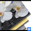 Bild Edelstahloptik Weisse Orchideen Querformat Material