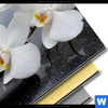 Bild Edelstahloptik Weisse Orchideen Rund Materialbild
