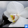 Bild Edelstahloptik Weisse Orchideen Rund Zoom