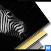 Bild Edelstahloptik Zebra Schwarzweiss Rund Materialbild