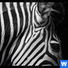 Bild Edelstahloptik Zebra Schwarzweiss Rund Zoom