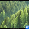 Leinwandbild Der Wald Panorama Zoom