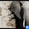 Leinwandbild Elefant Bricht Durch Mauer Hochformat Zoom