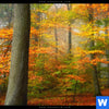 Leinwandbild Herbstfarben Im Nebligen Wald Schmal Zoom