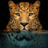 Leinwandbild Leopard Im Wasser Quadrat Motivvorschau